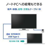 アイ・オー・データ機器 23.8型ワイド液晶モニター Type-C対応 LCD-C241DB 1台