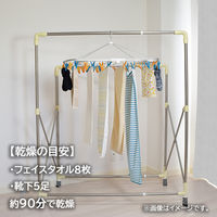 ファイン カラッと！ 衣類乾燥袋 ロング 部屋干し ベージュ FIN-782LG 1個