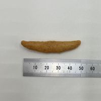 柿ノ種 素焼きお米味 国産 50g 3袋 スマック 犬用 おやつ