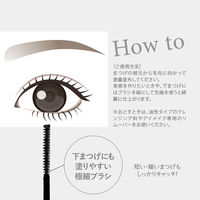 キレイファクトリー ミラーラッシュマスカラ 01 モダンブラック 青和通商