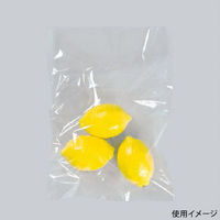 福助工業 ローデンポリ袋 ニューポリ袋 02 No.9 (4穴) 00734108 1ケース(10000個(100個×100)（直送品）