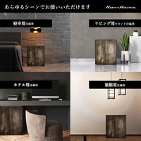 Hanx ペルチェ式1ドア冷蔵庫23Lダークウッド HH-RP2023DW 1台