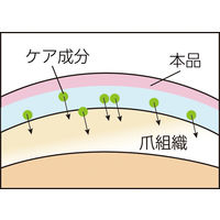 【アウトレット】元気+カルシウムプロテクター 透明 10ml 1個 アイケイ　ネイルケア