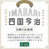 林 バスタオル 今治 ルーミーチェック 2枚セット ブラック(黒) BN208930 1セット(2枚入)（直送品）