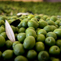 バルベーラ ロレンツォ No3 有機エキストラヴァージンオリーブオイル D.O.P. 500ml 1本 イタリア産 オリーブ油