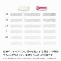 ぺんてる 消しゴム アインカラー消しゴム06 軽く消せるタイプ小 XZEAH065ST 1セット（5個入×3）