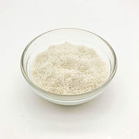 ゲランド ケ)業務用 ゲランドの塩(顆粒・袋入り) 3305040000681 1ケース 1kg×10PC（直送品）