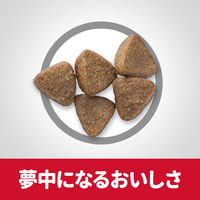 キャットフード サイエンスダイエット 子猫 チキン 1.4kg 3袋 ヒルズ