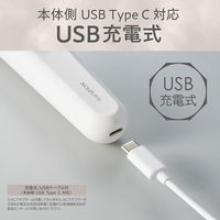 KOIZUMI USB充電式レディスシェーバー KLC0621W 1個