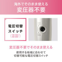 KOIZUMI 海外兼用マイナスイオンヘアドライヤー KDD0020N 1個