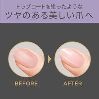 KOIZUMI ネイルポリッシャー KLC0581K 1個