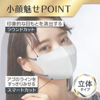 白元アース <大容量>ビースタイル立体タイプふつうサイズ シルバーグレー×ブルーグレー20枚 58194-0 1箱(20枚入)