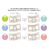 MOGU プレミアム家族の健康まくら本体(カバー付き)レッド 4540323020980 1個（直送品）