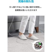 Anker USB Type-Cケーブル 3m - USB-C[オス] PowerLine 1本 アンカー