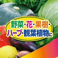 【園芸用品】 フマキラー カダンお酢でまもる1000ml 1個