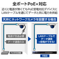 スイッチングハブ 16ポート ギガ PoE WEBスマート ループ防止 静音 3年保証 EHB-SG2C16-PL エレコム 1個（直送品）