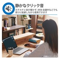 有線マウス 静音ボタン 5ボタン BlueLED 握りの極み Mサイズ ブラック M-XGM10UBSBK エレコム 1個（直送品）