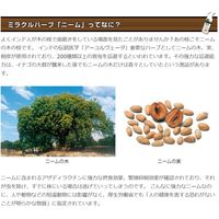 LENEEM スプレー 詰め替え 200ml 1個 FLF