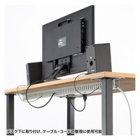 サンワサプライ 配線ダクト（W25×H45×D1000mm） CA-D30L 1個（直送品）