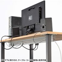 サンワサプライ 配線ダクト（W33×H65×D1000mm） CA-D31L 1個（直送品）