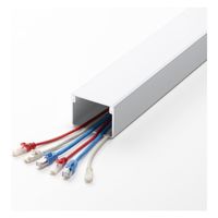 サンワサプライ 配線ダクト(80×60×1000mm・ホワイト) CA-KK80W 1個（直送品）