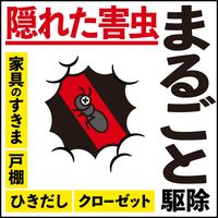 害虫対策 駆除 燻煙剤 アースレッド イヤな虫用 6～8畳用 1個 殺虫剤 アース製薬