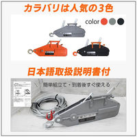 ベスト・アンサー ハンドウインチ 1600kg グレー 20m ワイヤー BA061-02-gr 1台（直送品）