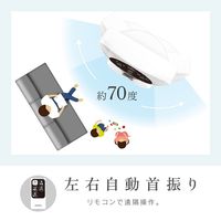 ゼピール リモコン付タワーファン DT-TK120P 1台