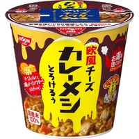 日清食品 日清欧風チーズカレーメシ とろけるぅ 1セット（6個）