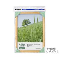 ハクバ写真産業 ピクスリア A4サイズ ブラック FWPX-BKA4 1パック 62-9766-67（直送品）