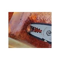 エンジニア ネジザウルスSE PZ-22 1セット(3PC)（直送品）