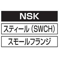 ロブテックス ブラインドナット スチール エコパック NSK10MP 1セット(100本:10本×10PC)（直送品）