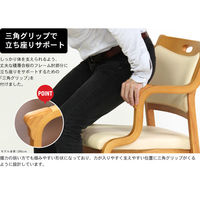 【軒先渡し】貞苅椅子製作所　Careシリーズ　高齢者向け介護イス　Care-111-AC-LB AL-G　1セット/2脚入（直送品）