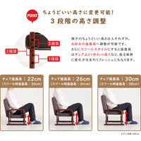 【軒先渡し】貞苅椅子製作所　Careシリーズ　高齢者向けチェア&スツール　Care-406-ST　1脚（直送品）