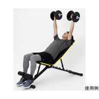 アルインコ アジャスタブルベンチ FA221Y 1個 65-0509-46（直送品）