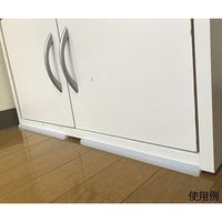 リンテック21 壁でツッパリ WT100 1セット 65-3977-53（直送品）