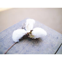 アンドウガラ紡のミニハンカチ【抗菌防臭加工】1764600-0009 13紺（直送品）