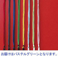 ストラップ付名札 チャックなし パステルグリーン 300組 HEROES  オリジナル