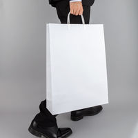 手提げ紙袋（マットフィルム貼り・ハッピータックタイプ）　平紐　白　LL　1セット（30枚：5枚入×6袋）　スーパーバッグ  オリジナル