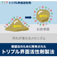 ジョイクイック 業務用5L 1箱（2個入）食器用洗剤 P&G