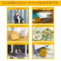 大塚製薬　カロリーメイトブロック5種アソートパック　1ケース（20箱入）  オリジナル