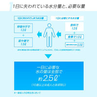 【スポーツドリンク】アクエリアス パウチ ハンディパック 300g 1箱（30個入）（冷凍可能）（熱中症対策）