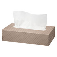 ティッシュペーパー 200組 （5箱入）×12パック オリジナルティッシュ モカ 5カラー 1ケース（60箱入） アスクル  オリジナル