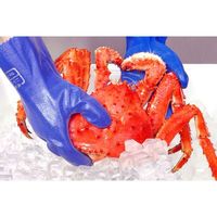 【ニトリル手袋】エステー モデルローブNo.600 M 751709 1セット（10双入）