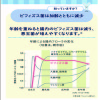【栄養補助食品】 クリニコ ビフィズス菌末BB536 1箱（30本入）