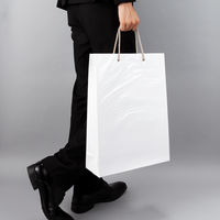 アスクル 樹脂カバー付き 手提げ紙袋 ホワイト L 1袋（10枚入）  オリジナル