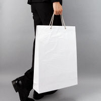 アスクル 樹脂カバー付き 手提げ紙袋 ホワイト LL 1袋（10枚入）  オリジナル