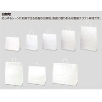ササガワ 手提げバッグ 白無地 中 50-5200 1袋(50枚入)
