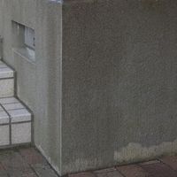 エクステリア 藻・コケ・カビ落し 500mL 1個 日本ミラコン産業