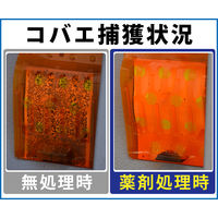 簡易水洗トイレの虫がいなくなる液剤 仮設トイレ用 消臭 虫よけ 500mL 1セット（3本：1本×3） KINCHO キンチョー